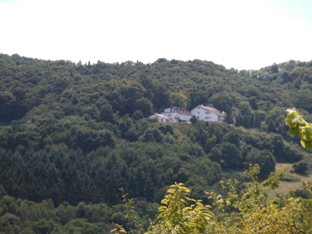 Burg-Hotel Obermoschel Luaran gambar