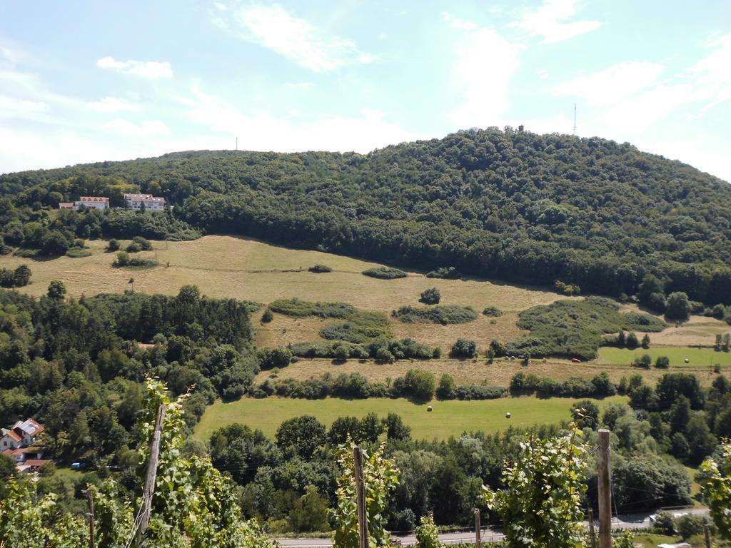 Burg-Hotel Obermoschel Luaran gambar