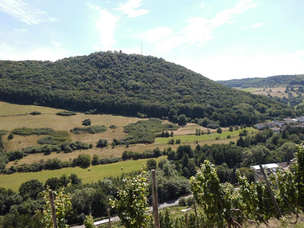 Burg-Hotel Obermoschel Luaran gambar